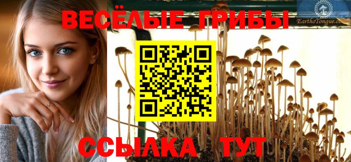 Псилоцибиновые грибы прущие грибы Ишим