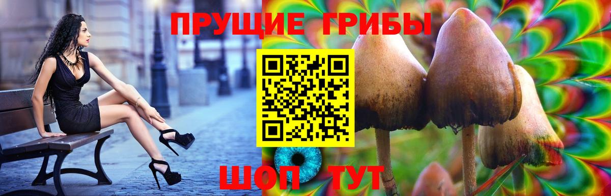 Ишим  Псилоцибиновые грибы Psilocybe  Вход с VPN 